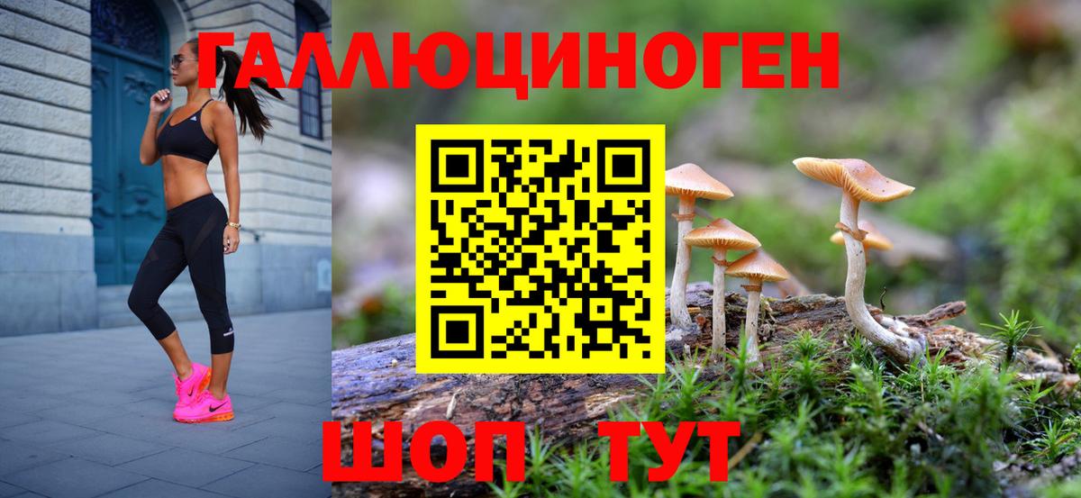 Псилоцибиновые грибы Cubensis Вятские Поляны